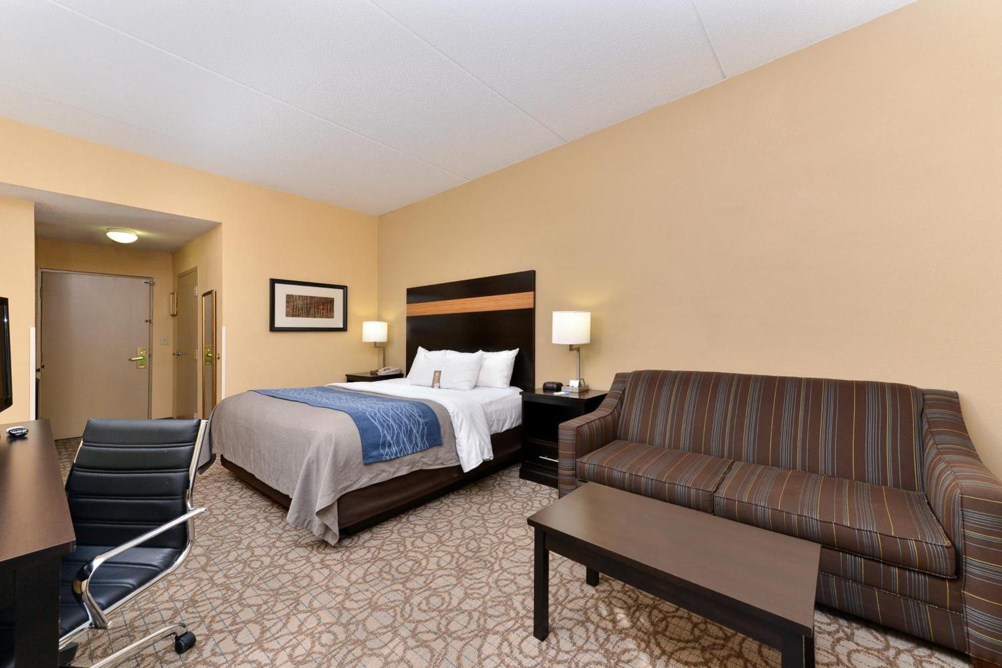 Comfort Inn & Suites At Stone Mountain Room photo